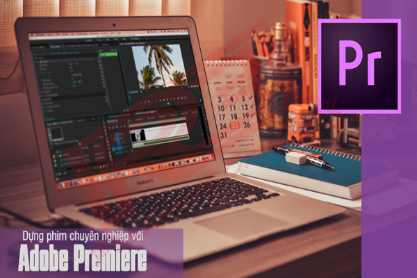 Link check warranty - imei (KIỂM TRA BẢO HÀNH, XUẤT SỨ SẢN PHẨM, DOWNLOAD DRIVER )